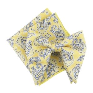 Mens Over Sized Bow Tie Pocket Square Set Paisley